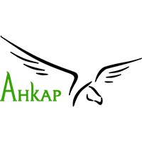ankar